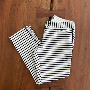 The Limited Navy and Off-White Striped Crops -sz 6